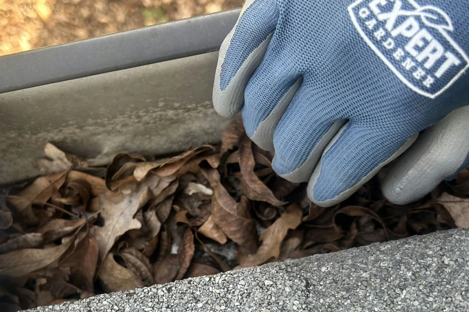 Gutter Cleaning Lockhart