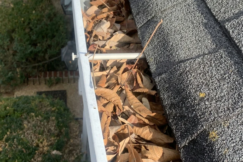 Gutter Cleaning Lockhart