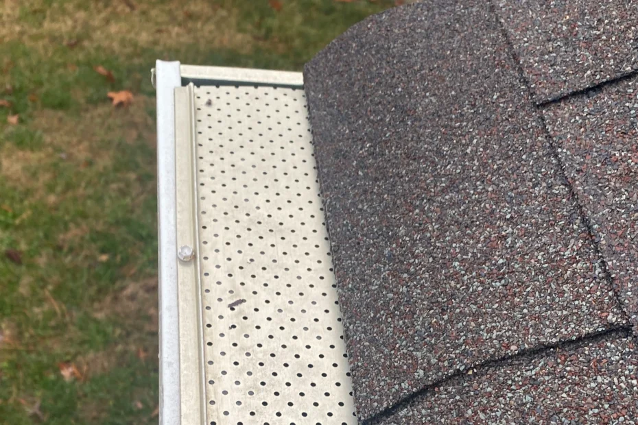 Gutter Cleaning Lockhart