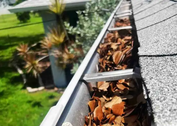 Gutter Cleaning Lockhart home page